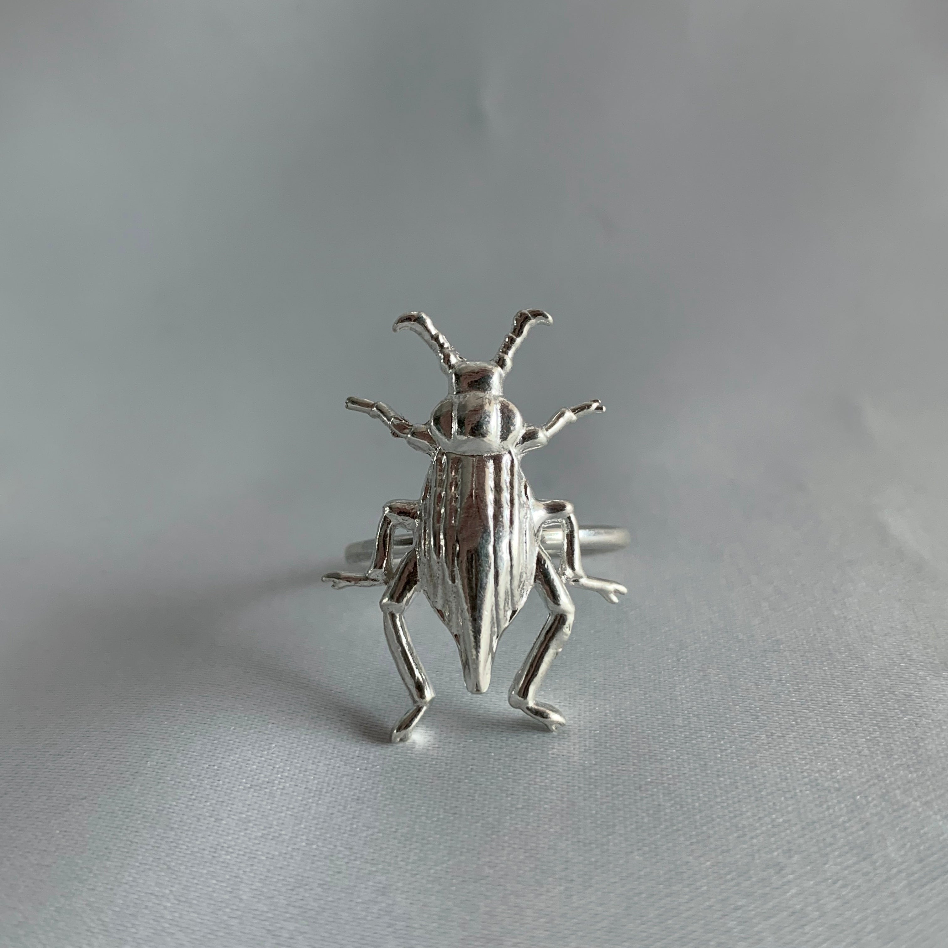 Anillo Escarabajo Grande Plata Mexicana Artesanal