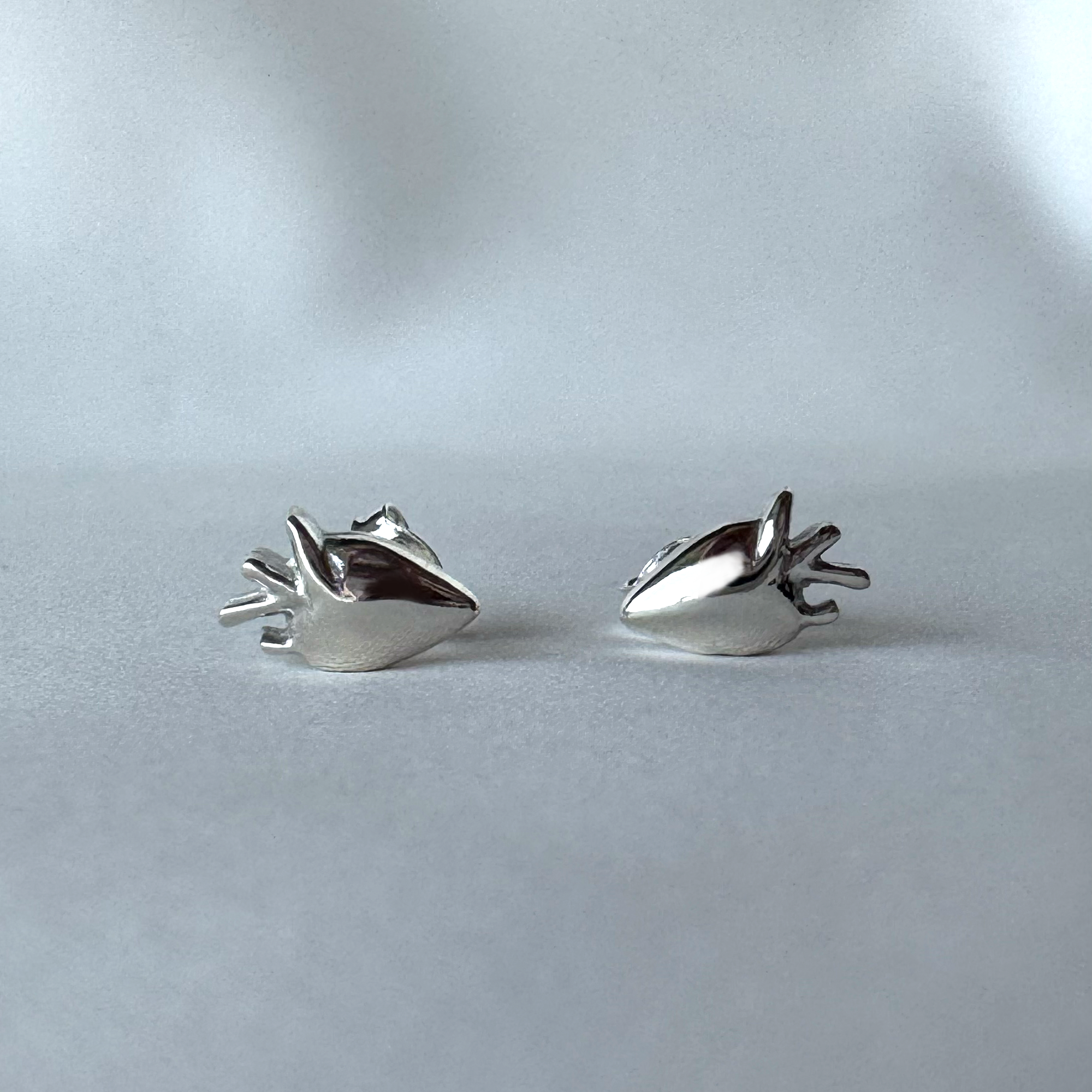 Aretes Corazón Mexicano Plata