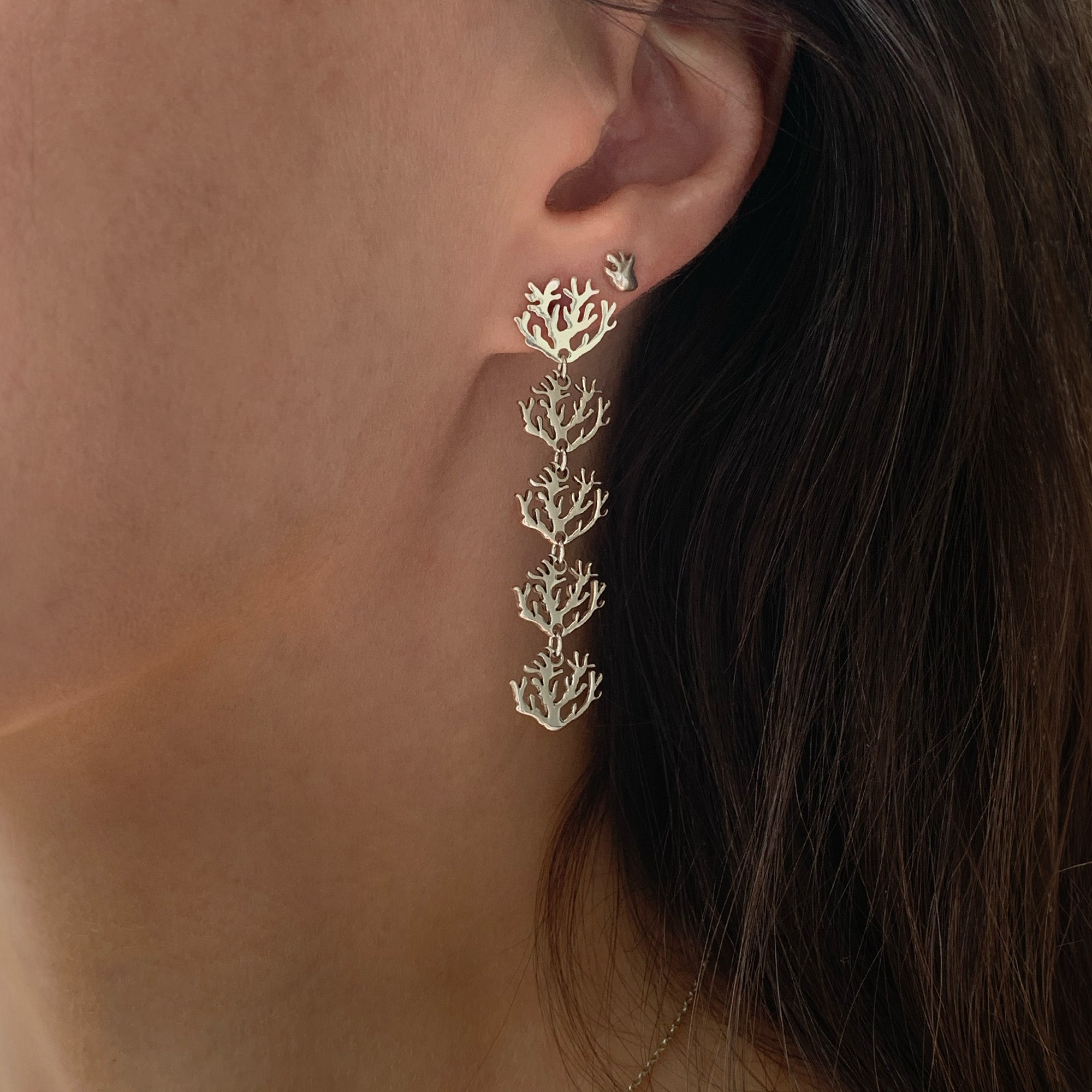 Aretes Largos Coral Plata