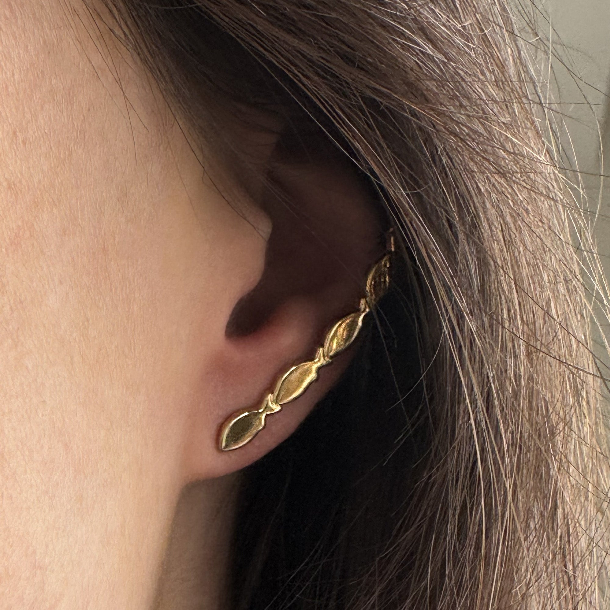 Ear Crawlers Pescado Plata Dorado Aretes