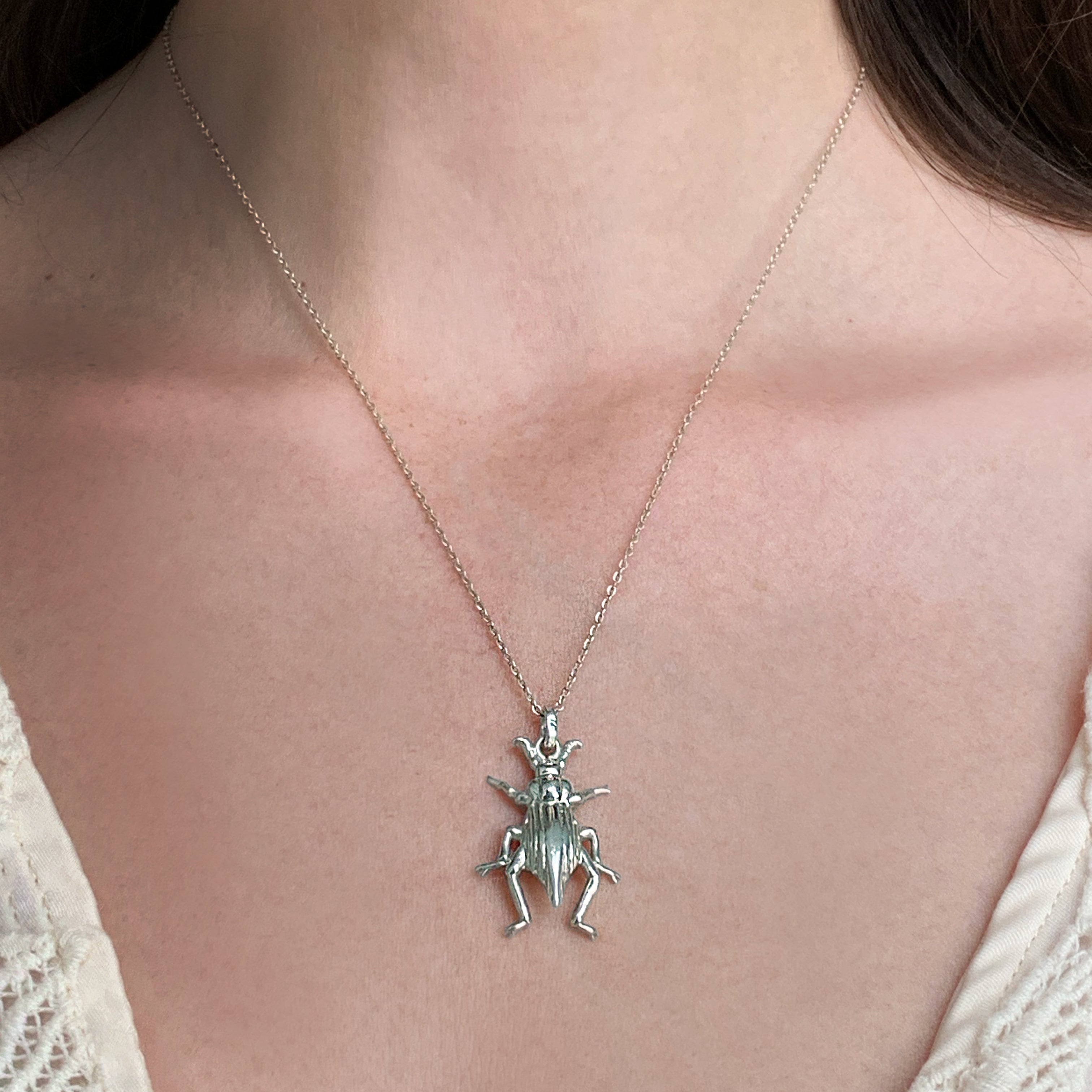 Collar Pinacate Plata