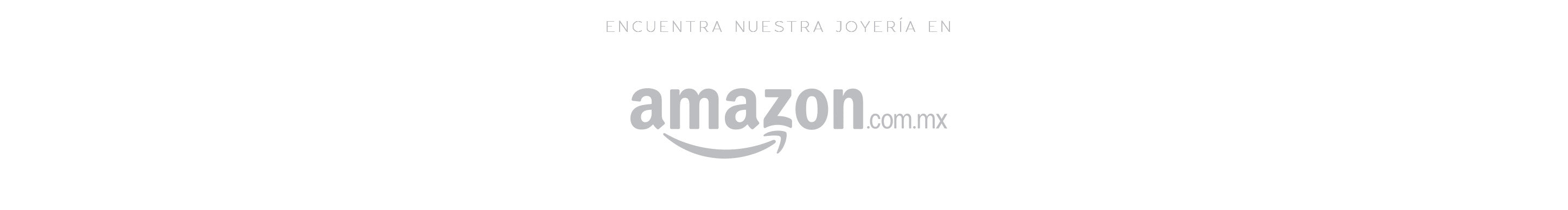 Encuentra Joyeria Amazon