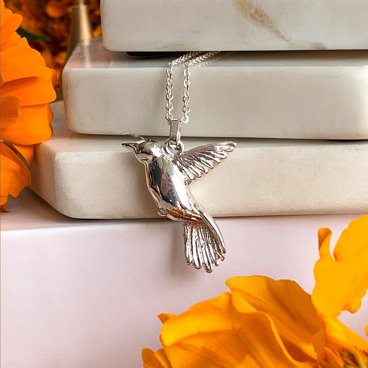Collar Colibrí Plata