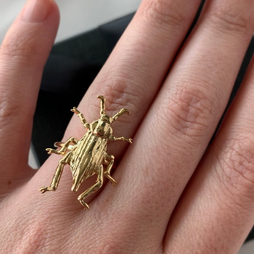 Anillo Escarabajo Dorado Desierto de Altar