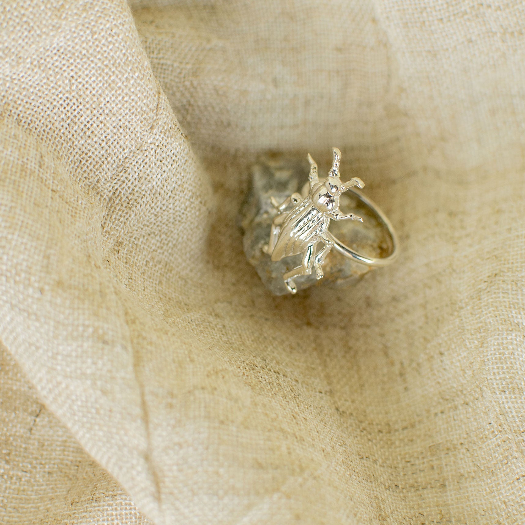 Escarabajo Plata Joyas Anillo Grande Plata