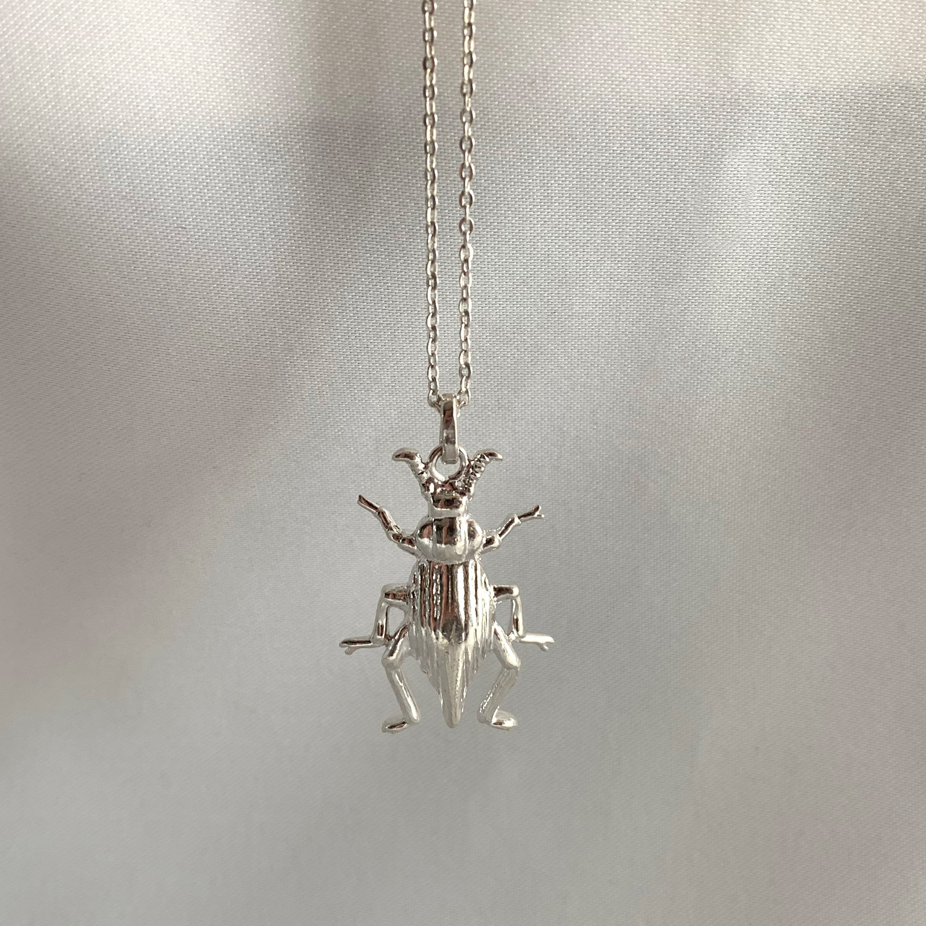 Silver Pinacate Necklace